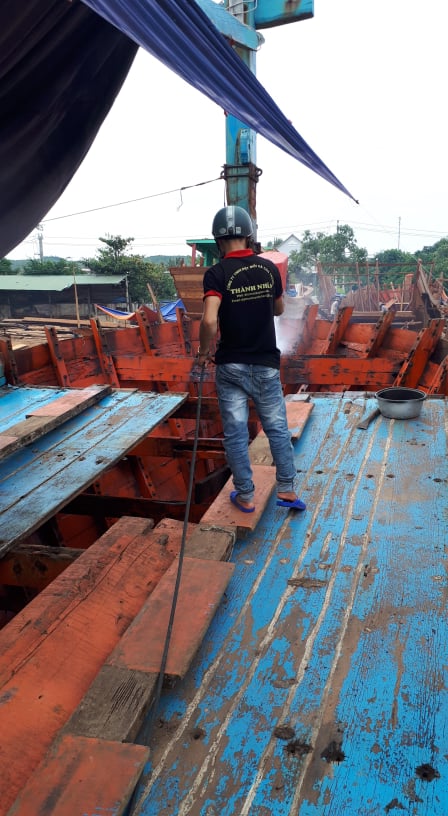 diệt mối tại Quy Nhơn